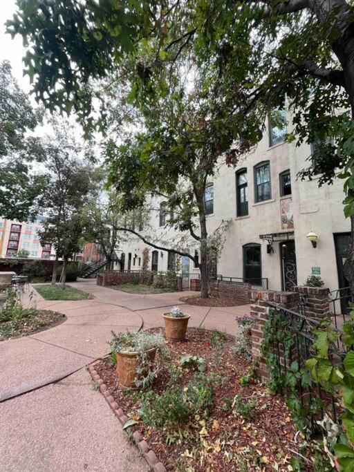 דירות דנוור Affordable & Chic Rino/Lodo/Dtown Loft- Walkable מראה חיצוני תמונה